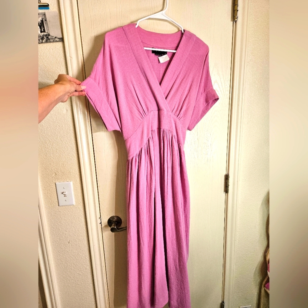 Hatch maternity dress